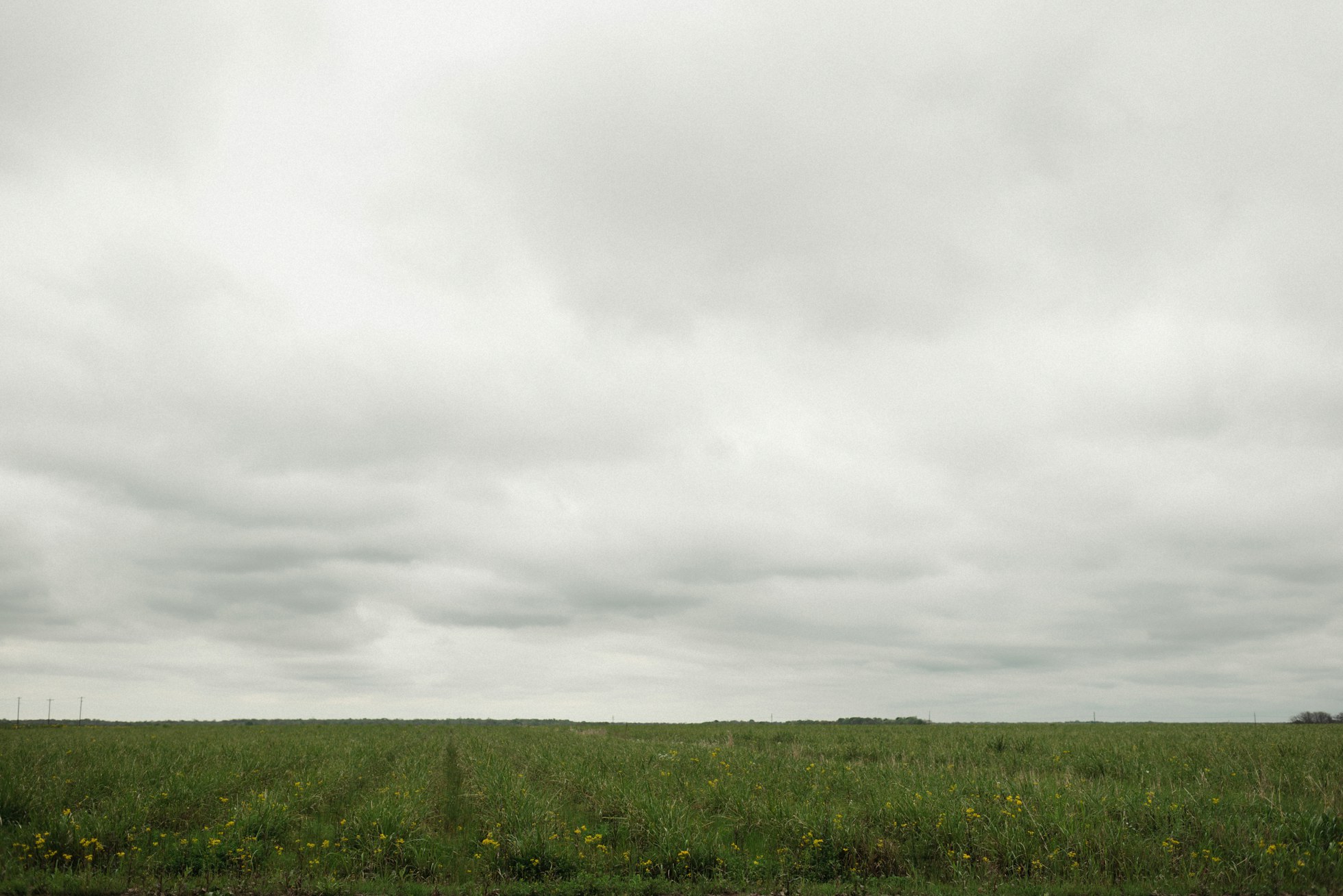 Louisiana field