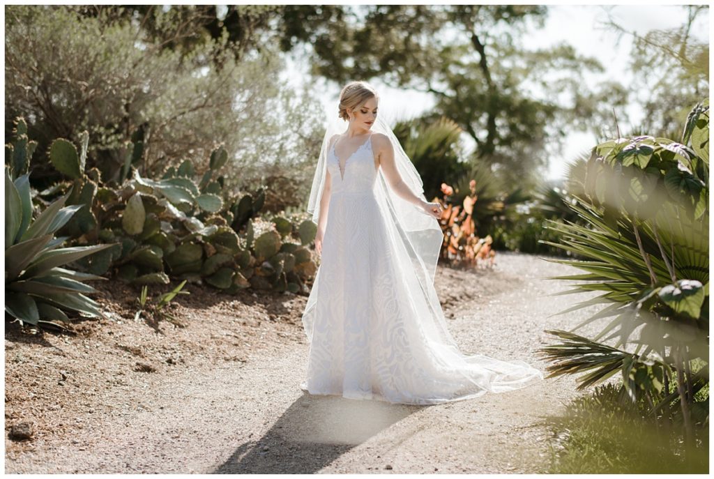 bride poses amongst cacti on a gorgeous sunny day showcasing the importance of bridal portraits