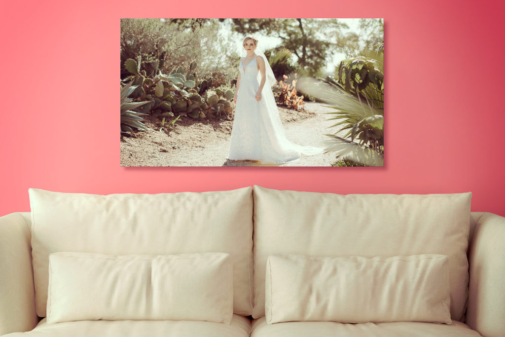 Large canvas print of a gorgeous bride standing on a desert walkway, surrounding by cacti in the sunshine shining through her cathedral veil. Image by Erin & Geoffrey Photography